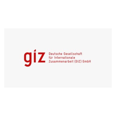 German Corporation for International Cooperation (GIZ)