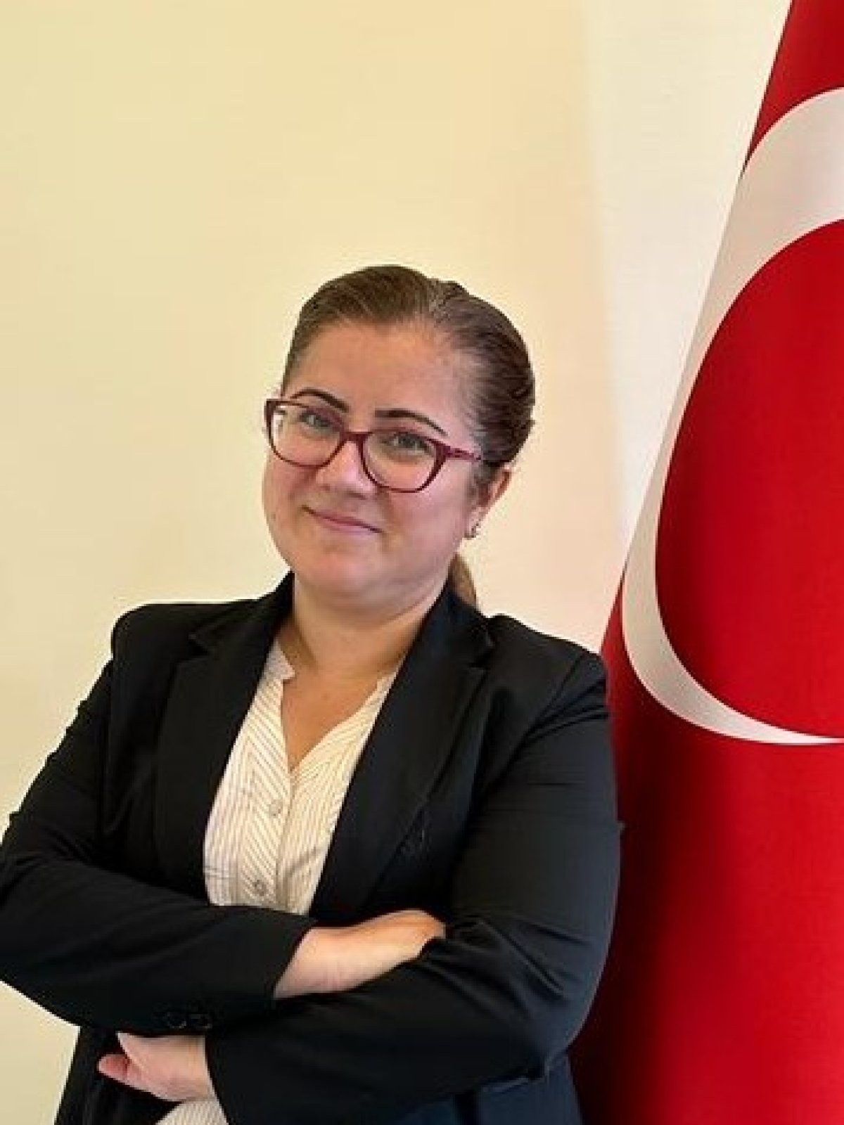 Ayşe Deniz Arıcan
